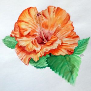 Print of a watercolour painting featuring an orange hibiscus flower and green leaves, available on either fine art or poster paper, in sizes 8" x 10" or 12" x 12".