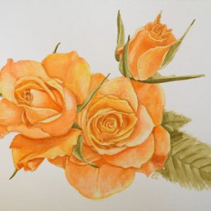 Print of a watercolour painting featuring orange roses, available on either fine art or poster paper, in size 8″ x 10″.