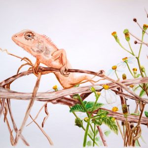 Print of a watercolour painting featuring a smug red garden lizard perched on a fence with wildflowers nearby, available on fine art paper, in size 8″ x 10″.