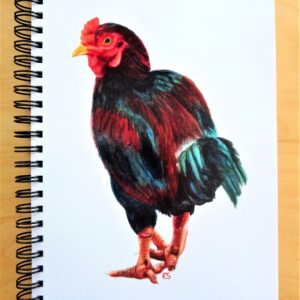 Rooster painting printed on notebook cover with white background. Notebook is bound with black coil.