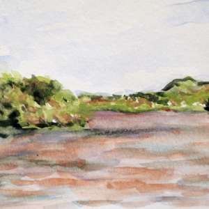 Note Card: View Towards Cootes Paradise