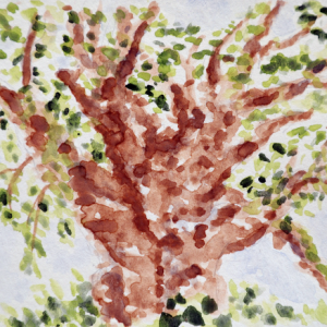 Note Card: The General